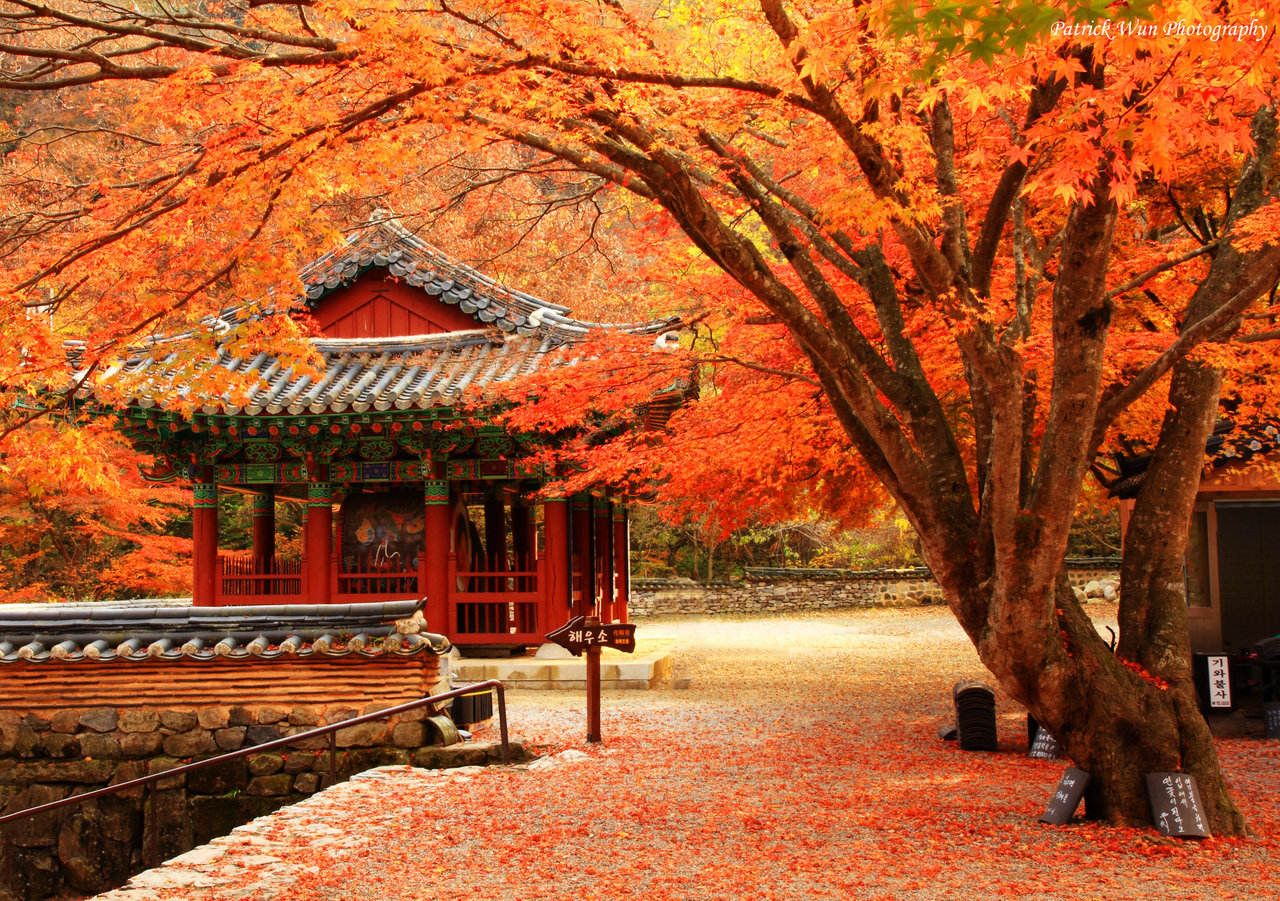 Chùa Todaiji